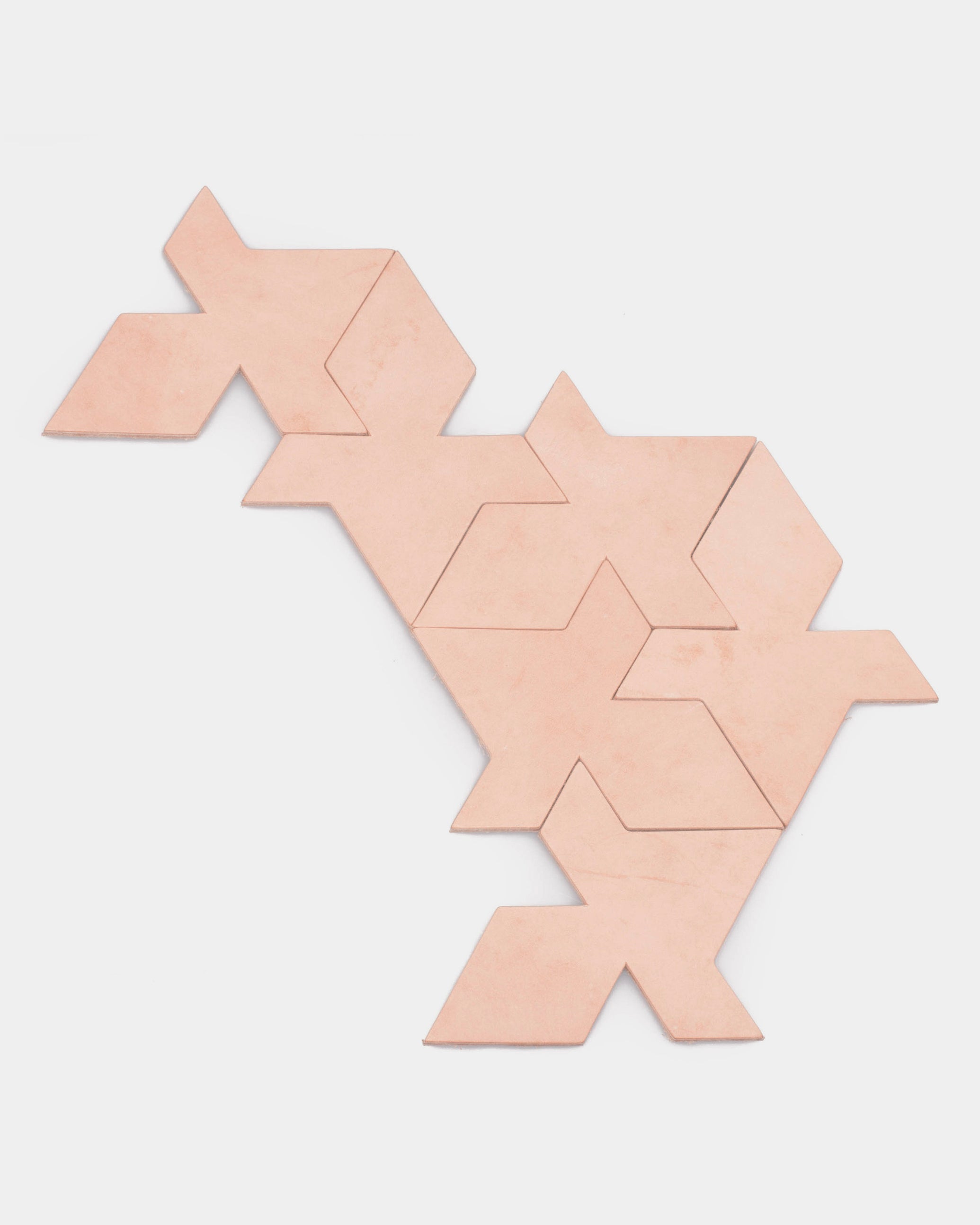 Natural Veg Tan Leather Coasters - Puzzle/Tesselation